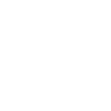 icon money